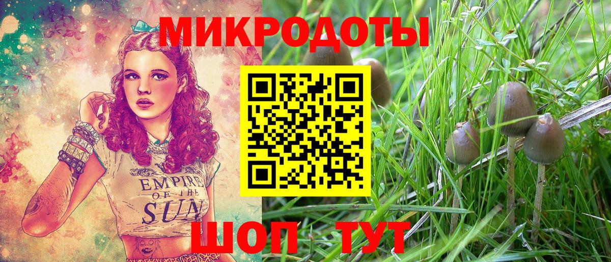 Псилоцибиновые грибы мицелий Щёкино